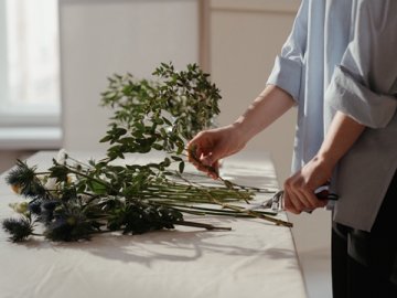 注册新加坡公司需要哪些条件？官网入口和实操步骤一并说清