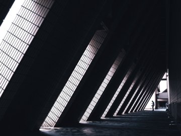 探索香港法律服务市场：必备机构与专业服务