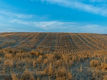 香港注册公司必读：你准备好了吗？